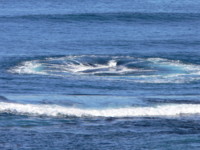 Waves 16th beach