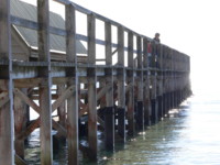 Portsea Vic
