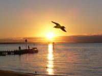 Dusk at Rye
