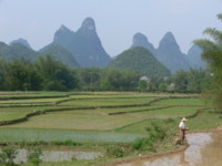 China